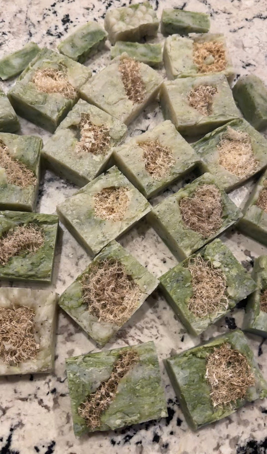 Luffa Heel Polish Soap