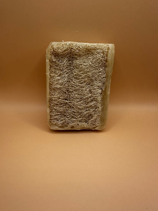 Luffa Sweater Weather Bar Soap
