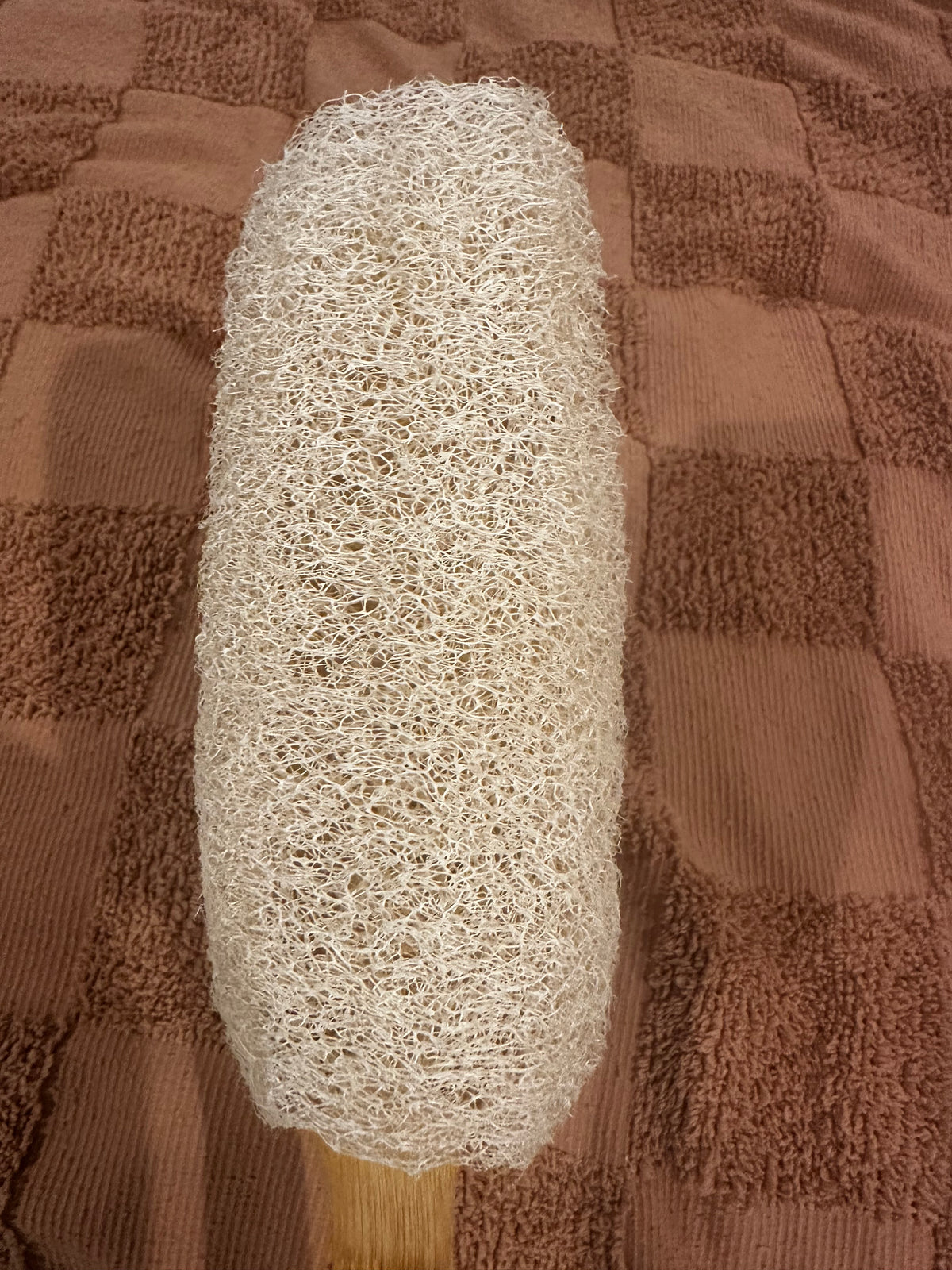 Luffa Back Scrubber
