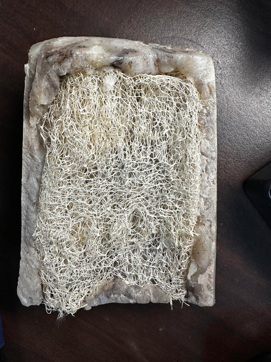 Luffa Anthro Eruption Bar Soap